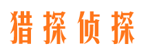 噶尔侦探公司